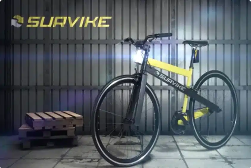 Proyecto: Survike